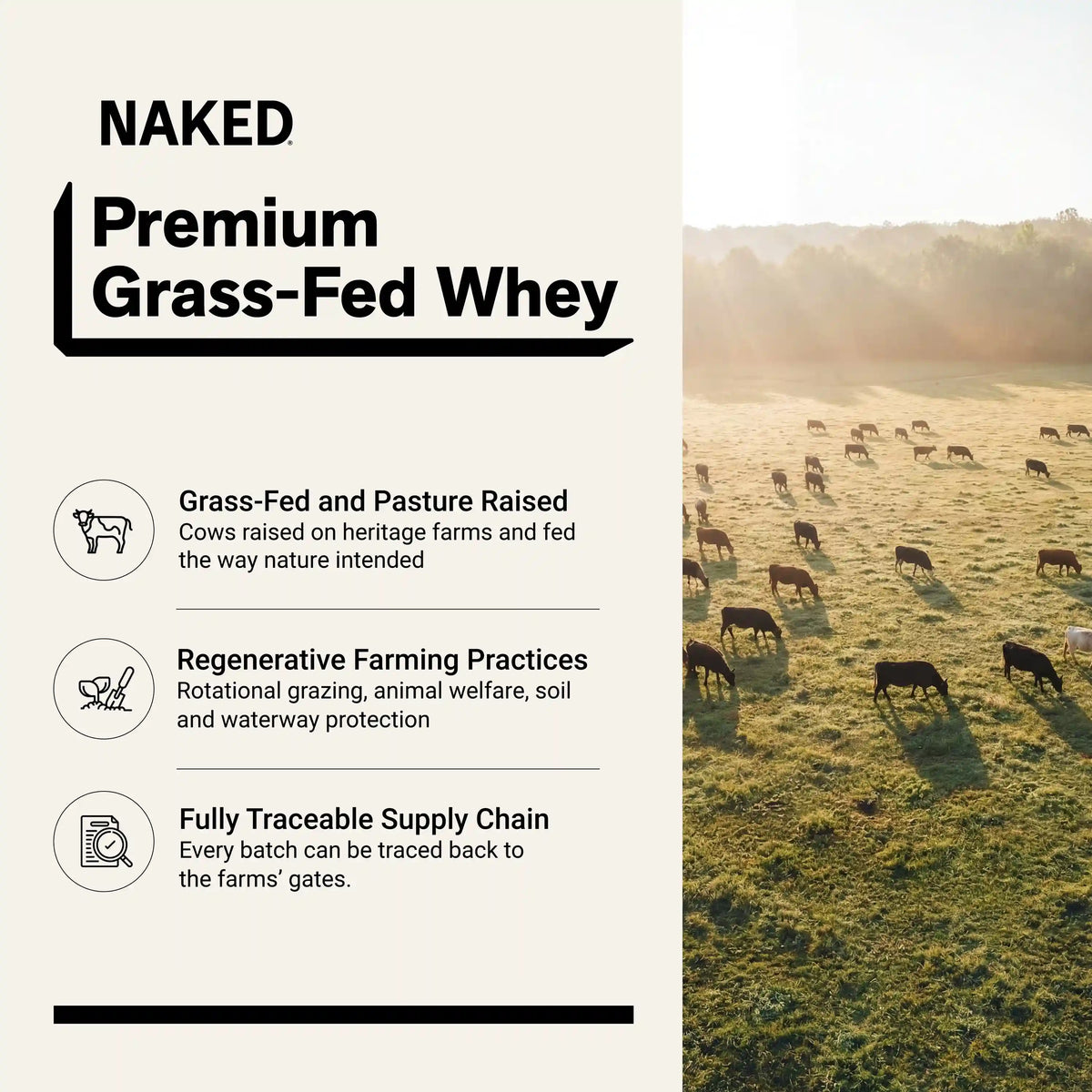 Vanilla Whey Protein Powder | Naked Vanilla Whey - 5LB
